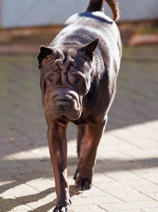 2024-03-03-14-23-18-EOS R6m2-3532_2048px