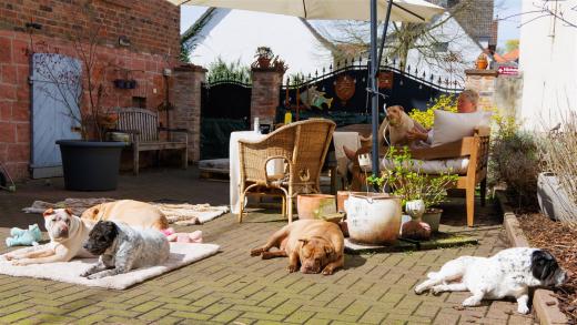 2024-03-31-13-32-49-EOS R7-5620