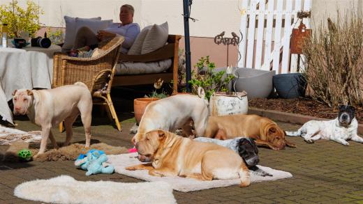 2024-03-31-13-38-35-EOS R7-5636