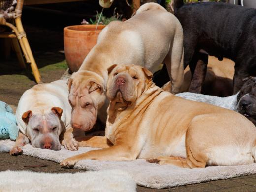 2024-03-31-13-39-25-EOS R7-5665