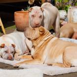 2024-03-31-13-39-26-EOS R7-5669