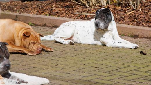 2024-03-31-13-39-38-EOS R7-5683