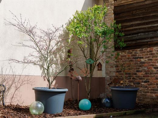 2024-03-31-13-45-16-EOS R7-5721