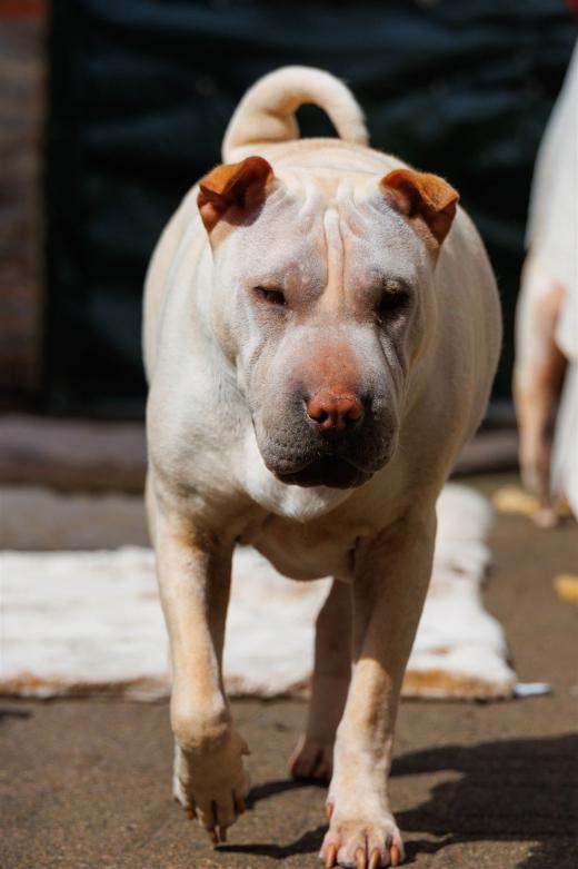 2024-04-06-13-09-30-EOS R7-5753