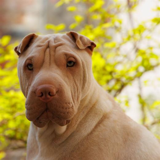 2024-04-06-13-53-30-EOS R7-5756