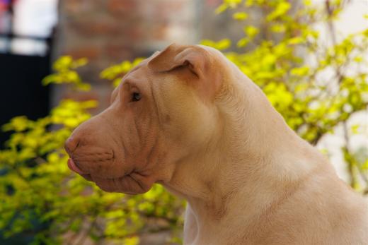 2024-04-06-13-53-31-EOS R7-5762