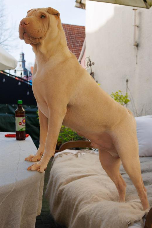 2024-04-06-16-14-23-EOS R7-5774