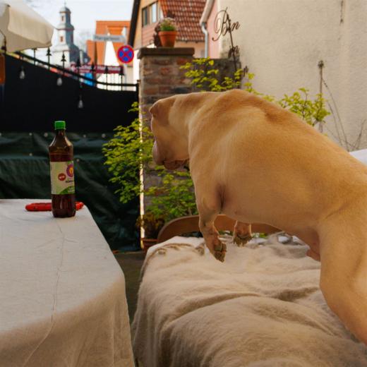 2024-04-06-16-14-54-EOS R7-5780