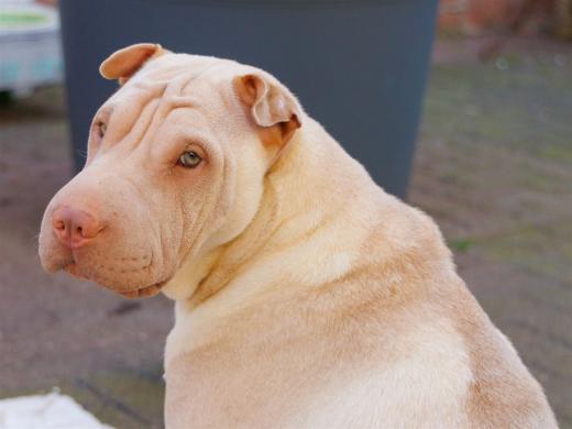 2024-04-06-16-17-39-EOS R7-5784