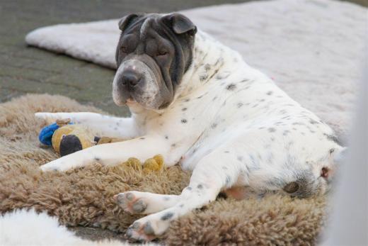 2024-04-06-16-18-03-EOS R7-5797