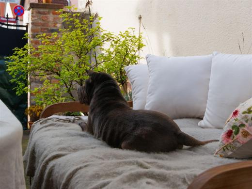 2024-04-06-17-08-03-EOS R7-5816