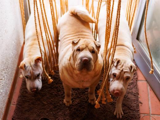 2024-04-24-16-03-19-EOS R7-5881-Verbessert-RR