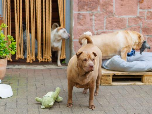 2024-04-24-16-03-45-EOS R7-5884