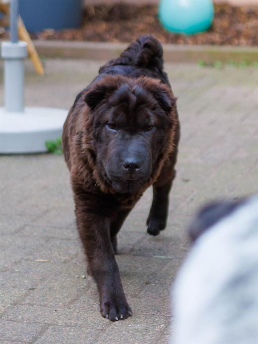 2024-04-24-16-12-52-EOS R7-5964