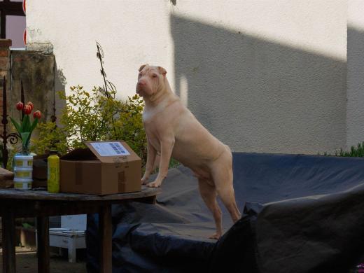 2024-04-24-16-16-15-EOS R7-6025