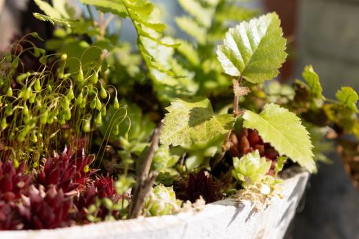 2024-04-24-16-20-16-EOS R7-6078