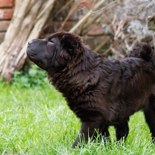 2024-04-25-18-37-51-EOS R7-6196-Verbessert-RR_2048px