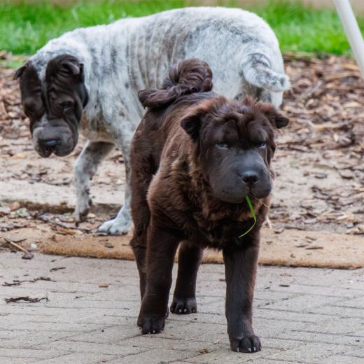 2024-04-25-18-47-31-EOS R7-6259-Verbessert-RR_2048px