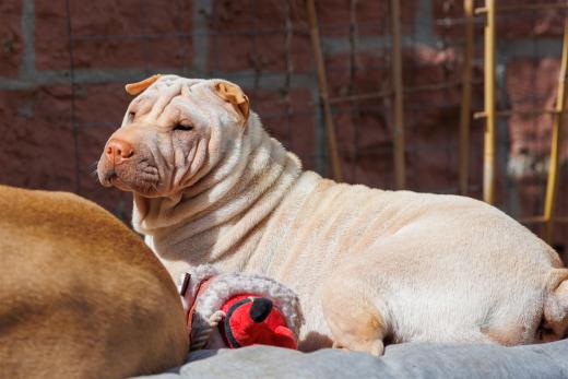 2024-04-27-11-25-12-EOS R6-2197_2048px