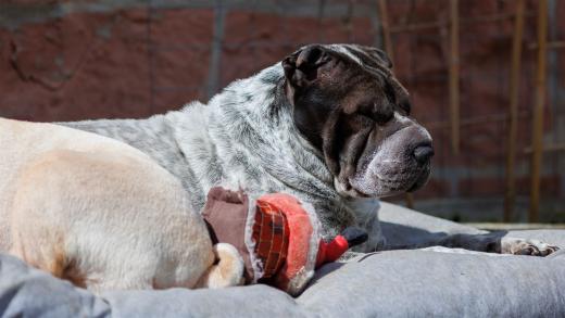 2024-04-27-11-29-51-EOS R6-2212_2048px