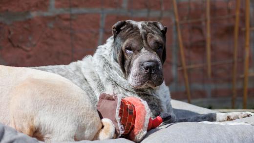 2024-04-27-11-30-01-EOS R6-2216_2048px