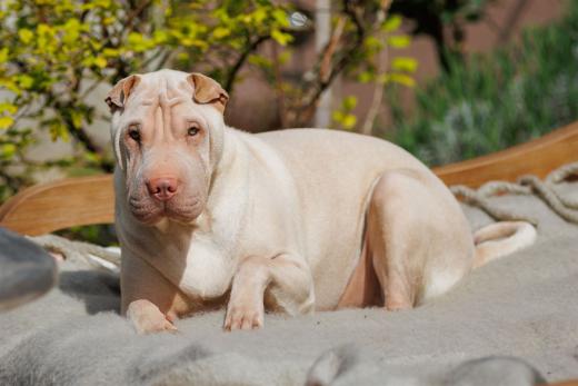 2024-04-27-11-36-01-EOS R6-2241_2048px