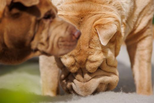 2024-04-27-11-41-31-EOS R6-2259_2048px