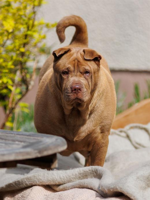 2024-04-27-11-42-21-EOS R6-2262_2048px