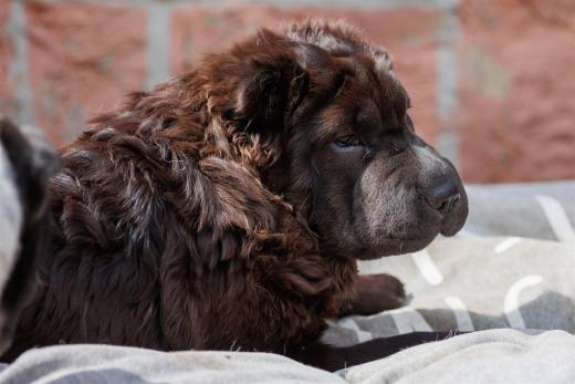 2024-04-27-11-43-35-EOS R6-2266_2048px