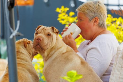 2024-04-27-13-06-05-EOS R6m2-3777