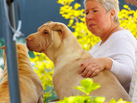 2024-04-27-13-06-36-EOS R6m2-3794