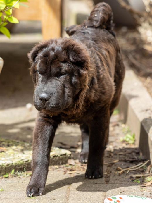 2024-04-27-13-16-22-EOS R6m2-3812