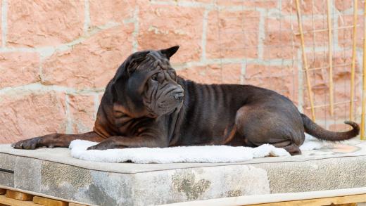 2024-04-27-13-16-54-EOS R6m2-3817