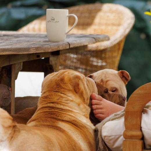 2024-04-27-13-18-48-EOS R6m2-3824