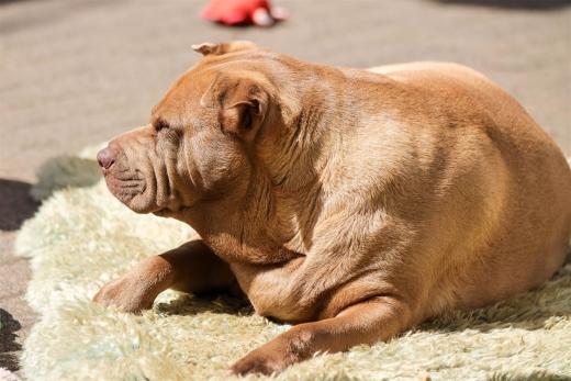 2024-04-27-13-36-33-EOS R7-6304_1