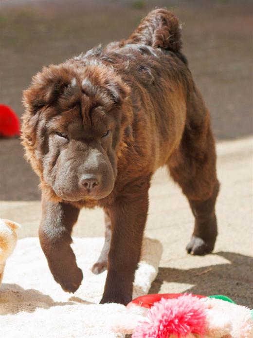 2024-04-27-13-38-27-EOS R7-6310