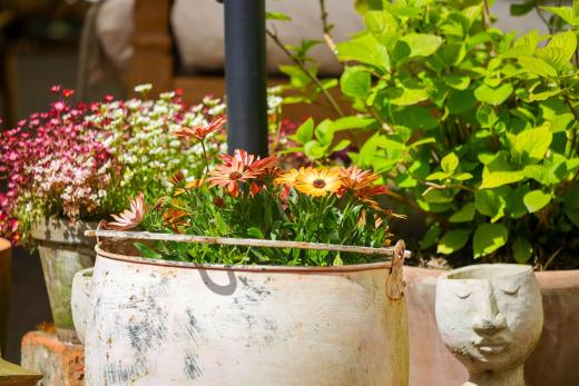 2024-04-27-13-40-41-EOS R7-6321_1