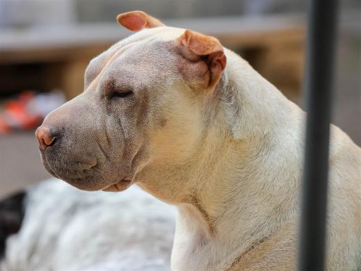 2024-04-27-13-52-58-EOS R7-6323_1