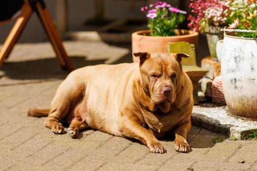 2024-04-27-13-53-01-EOS R6m2-3859