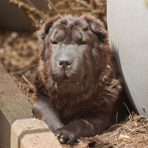 2024-04-27-13-53-26-EOS R7-6334_1