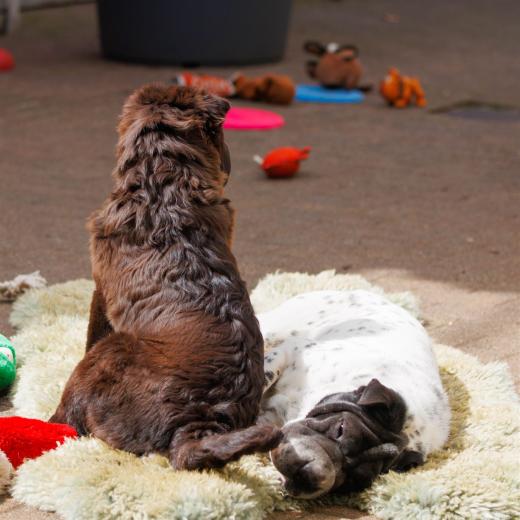 2024-04-27-14-28-24-EOS R7-6342