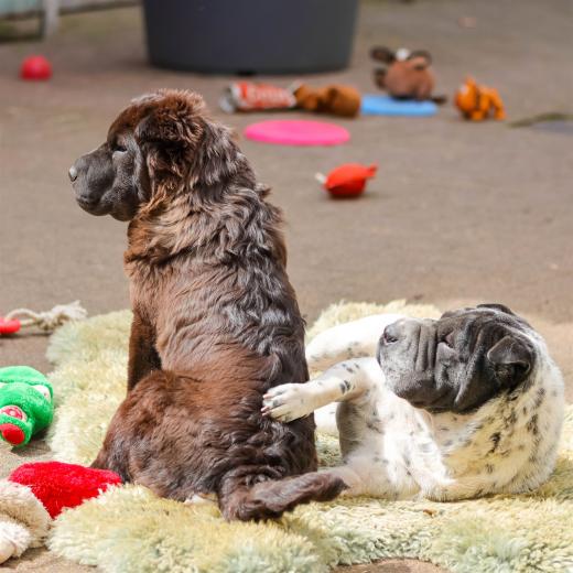 2024-04-27-14-28-27-EOS R7-6346_1