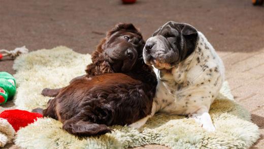 2024-04-27-14-29-10-EOS R7-6364