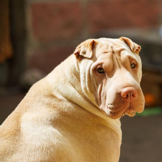 2024-04-27-14-29-27-EOS R7-6374