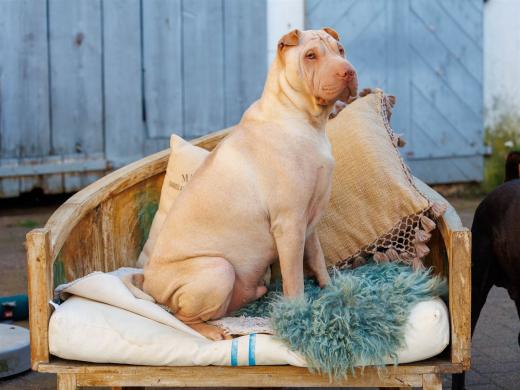 2024-04-27-19-15-09-EOS R6m2-3875