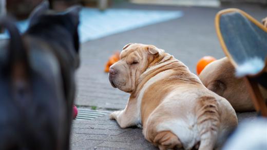 2024-04-27-19-28-05-EOS R7-6393-Verbessert-RR