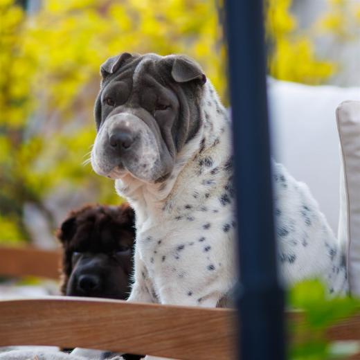 2024-04-27-19-31-15-EOS R7-6408-Verbessert-RR