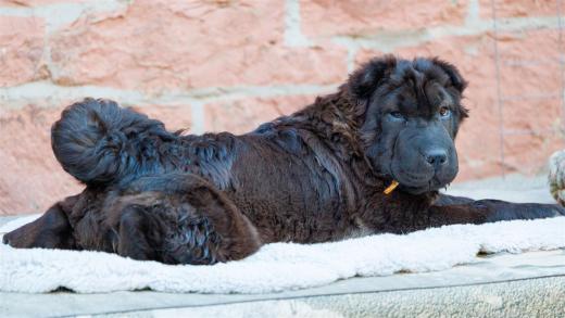 2024-04-27-19-33-18-EOS R6m2-3889