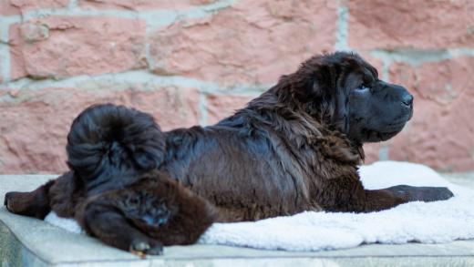 2024-04-27-19-34-42-EOS R7-6416-Verbessert-RR