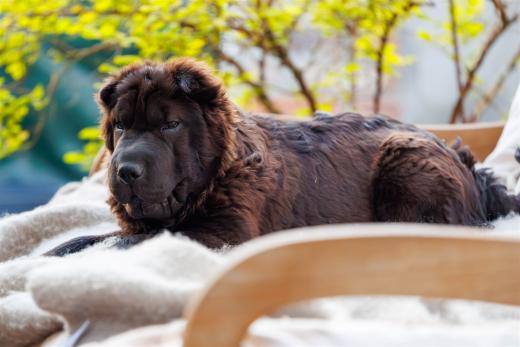 2024-04-27-19-36-19-EOS R6m2-3899-Verbessert-RR